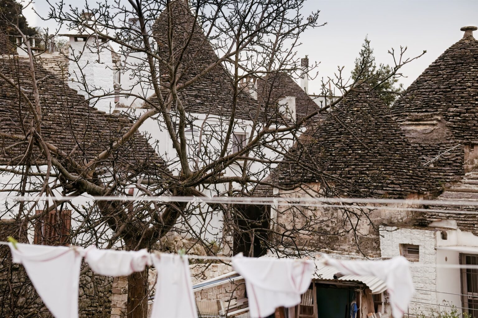 Editorial photography of laundry, Trulli roofs framed by the dark branches of an old tree