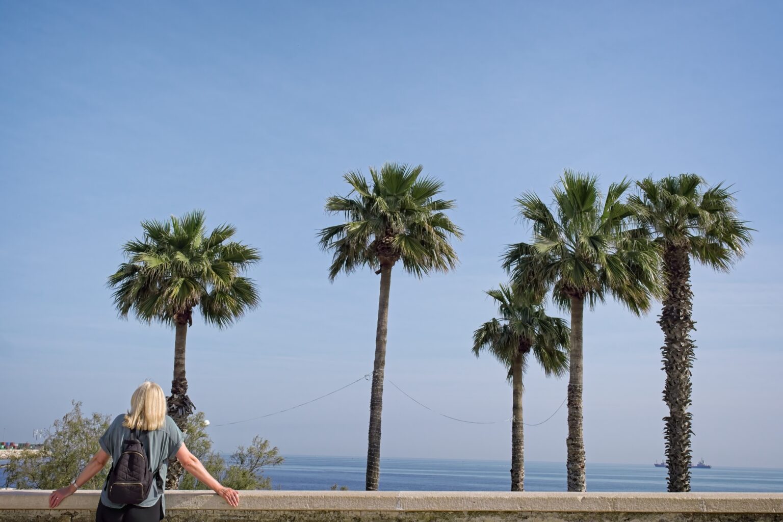 Minimalist travel photography of four palm trees against the Adriatic Sea horizon in Bari.