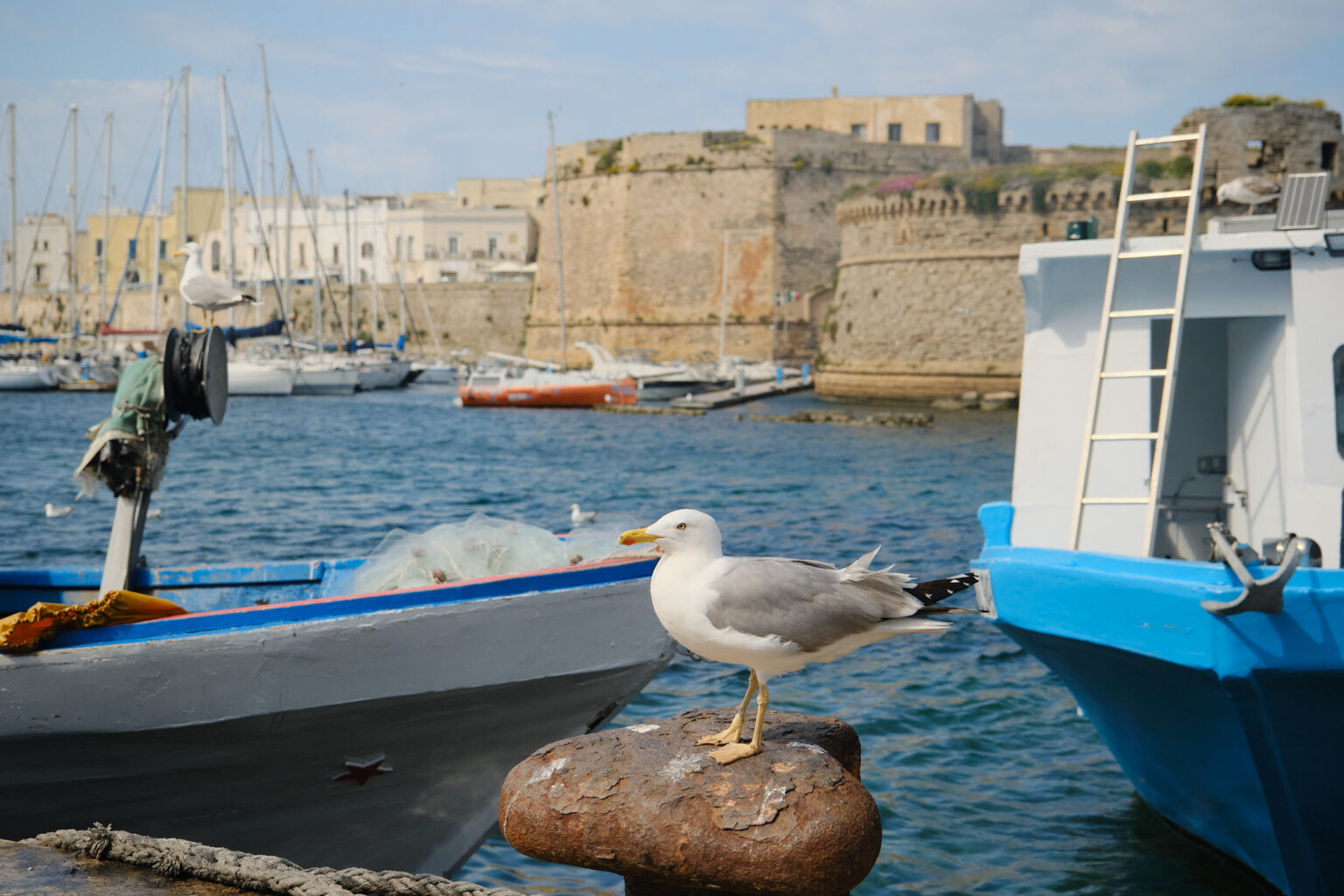 Gallipoli11